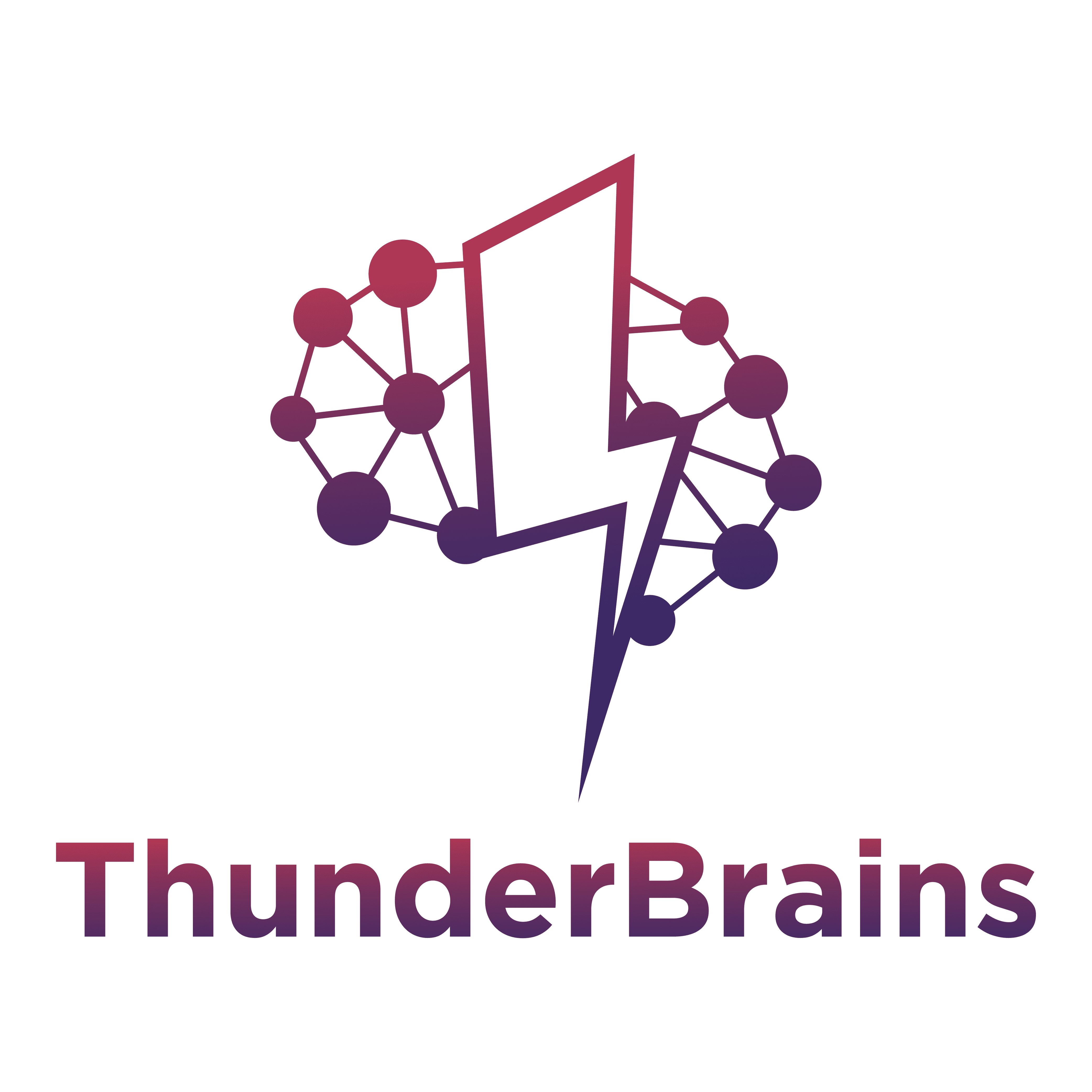 ThunderBrains - Software Development Agency